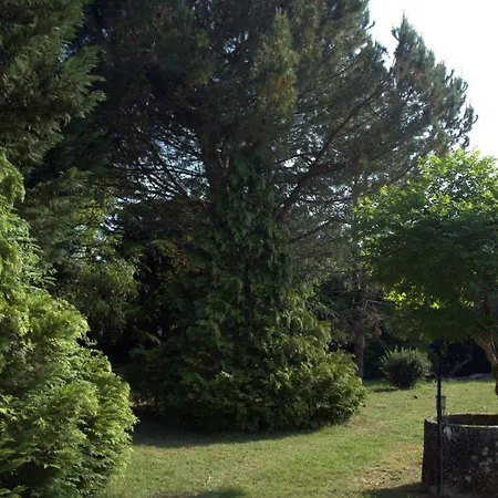 Chateau La Moune Bed and Breakfast