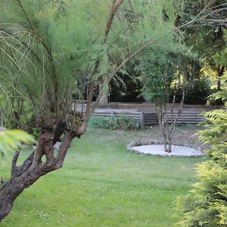 Bed & Breakfast Chateau La Moune Montussan