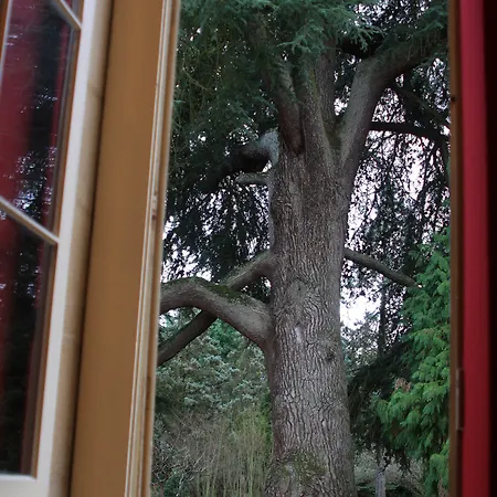 فندق مبيت وإفطار Chateau La Moune Montussan