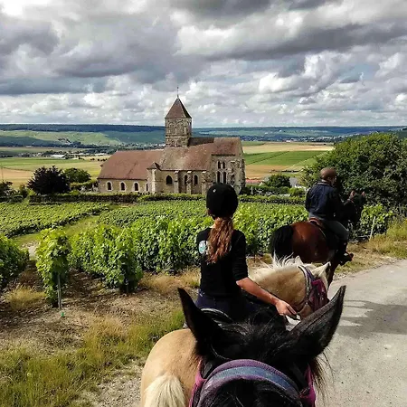 Chateau La Moune 4*