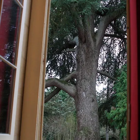 Alojamento de Acomodação e Pequeno-almoço Château La Moune 5*