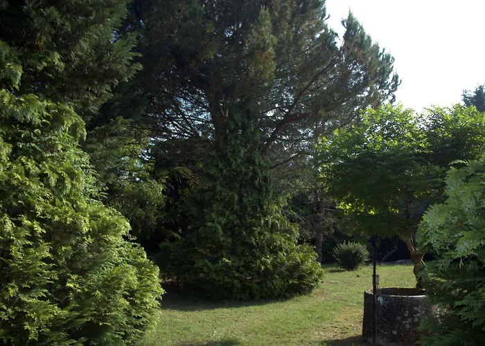 Chateau La Moune Bed & Breakfast