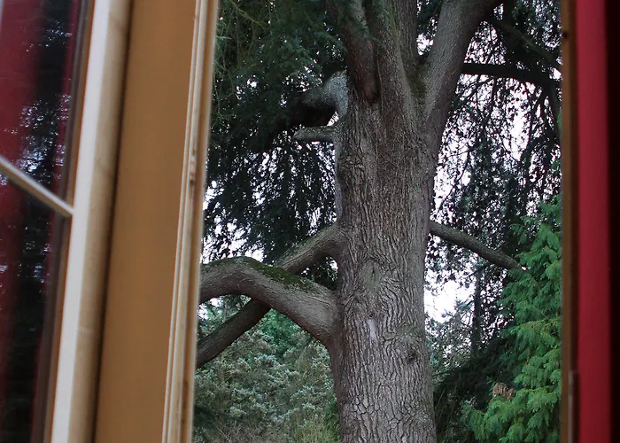 Frühstückspension Chateau La Moune Montussan